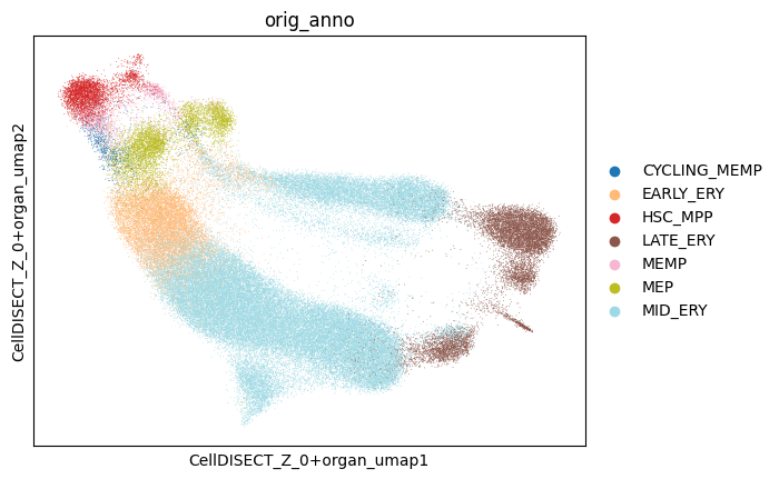 ../_images/tutorials_Erythroid_subset_inference_25_1.png